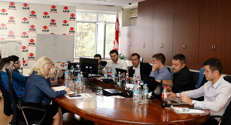 Work and Asset Management programme at Georgian State Electrosystem